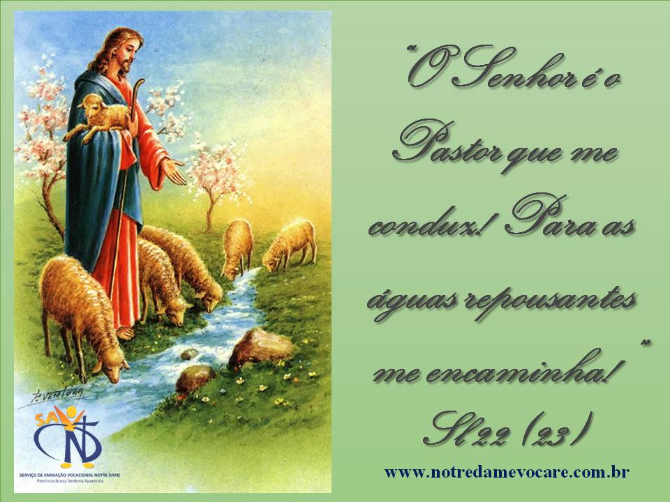Notre Dame Vocare
